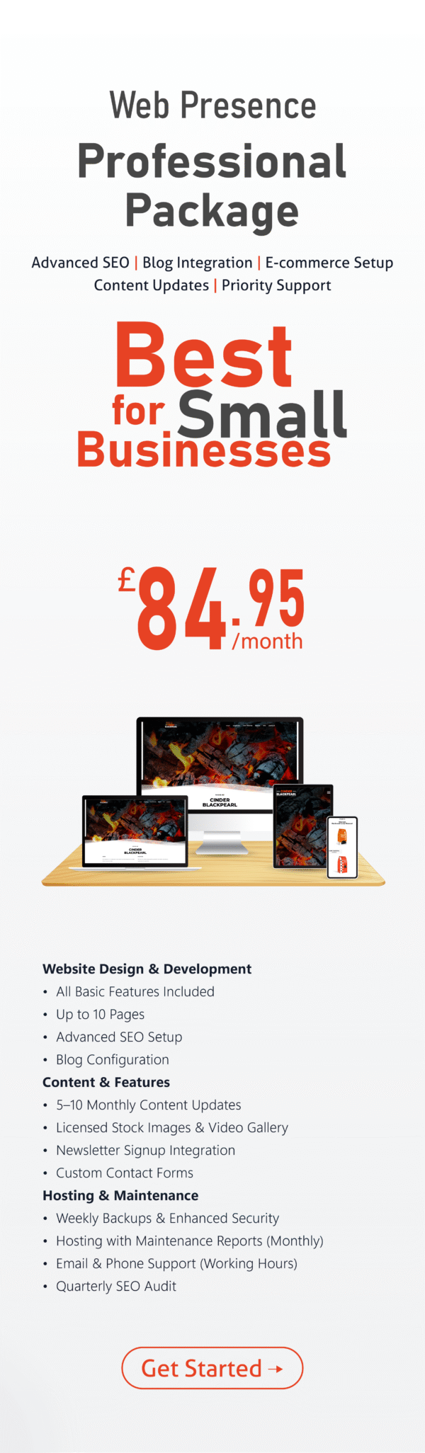 Monthly - Web Presence - Professional